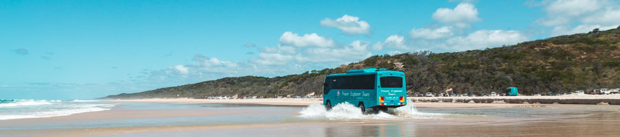 eli creek, fraser island, explorer tour