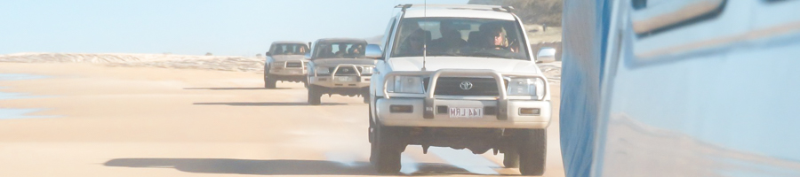 Pippies on fraser, driving on the beach