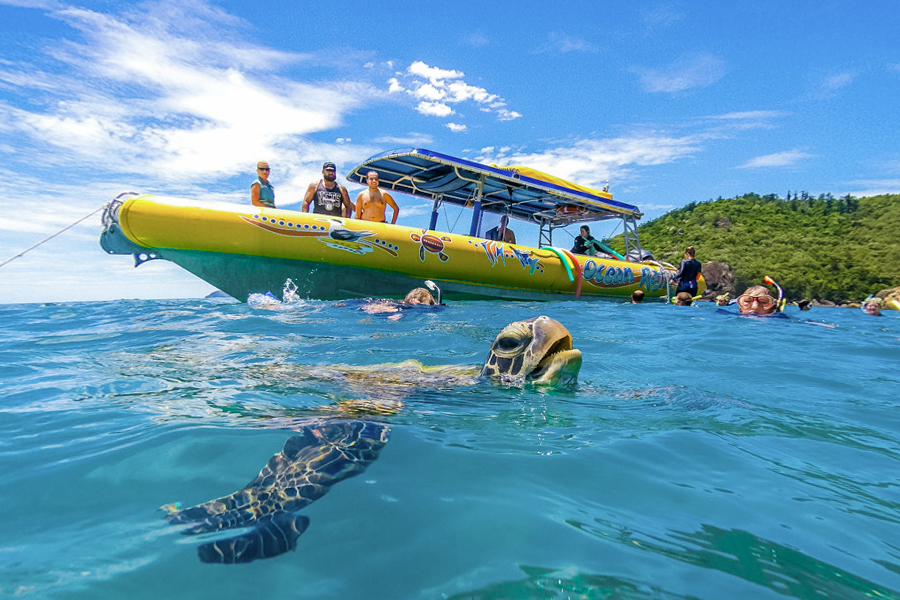 Ocean Rafting - Southern Lights Hero Image | East Coast Tours Australia