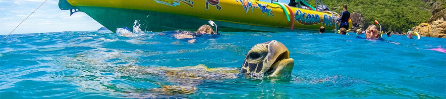 snorkelling