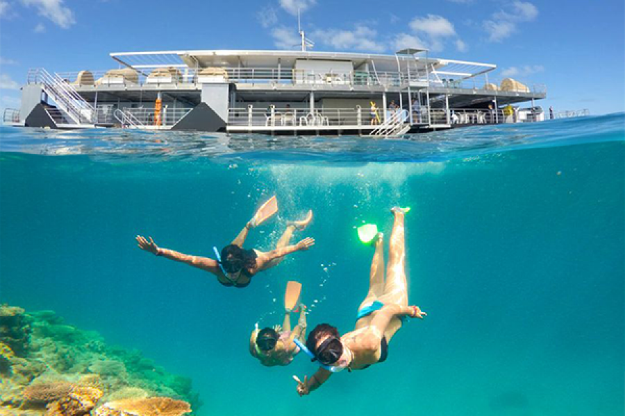 hero image for Outer Great Barrier Reef Pontoon Day Tour