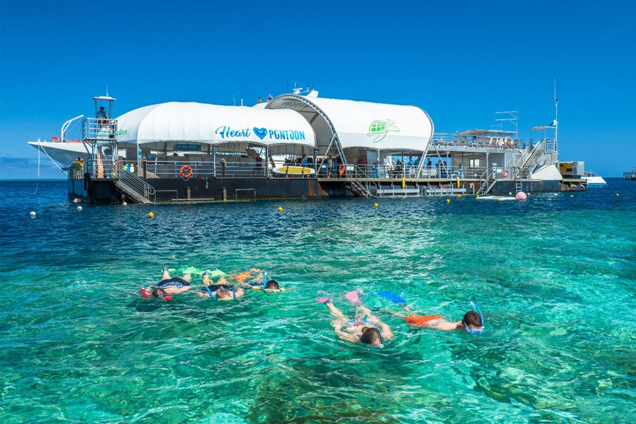 reef world cruise whitsundays reviews