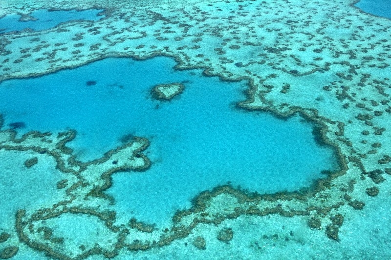 Heart Reef, Great Barrier Reef