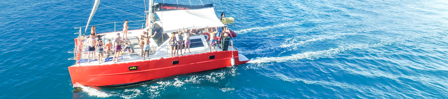 Tongarra, Sailing Whitsundays, RedCats, Sailing