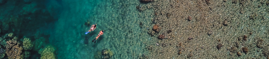 Snorkelling the whitsundays, Great Barrier Reef