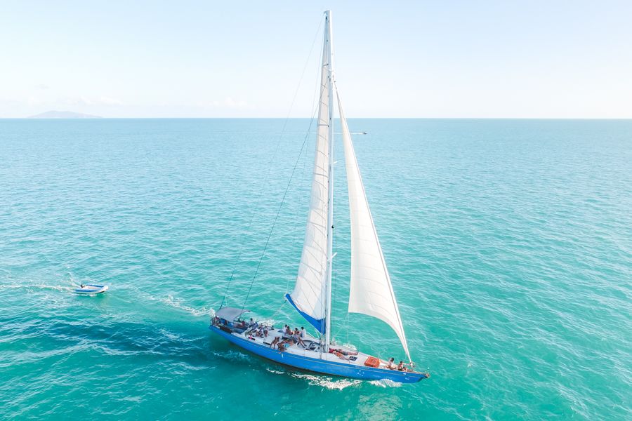 Southern Cross and the America's Cup - Sailing Whitsundays