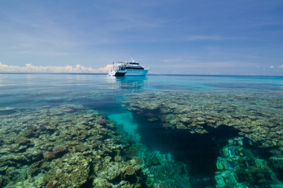 Pro Dive 3 Day Great Barrier Reef Liveaboard Trip - Cairns-Tours