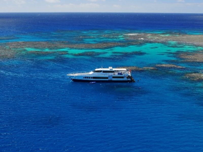 down under reef tours cairns