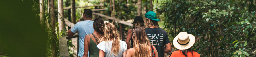 forest walk, guided, rainforest, fraser island