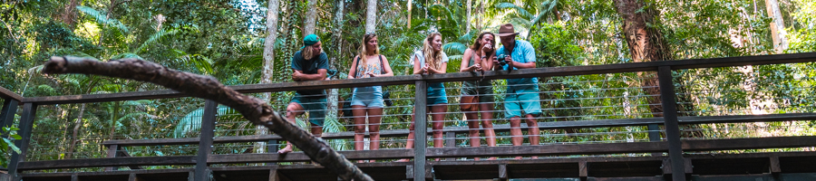 Fraser island, central station, clear creek