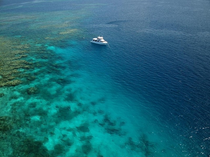 Wavelength Reef Cruises Day Outer Reef Snorkelling Tour - Cairns-Tours