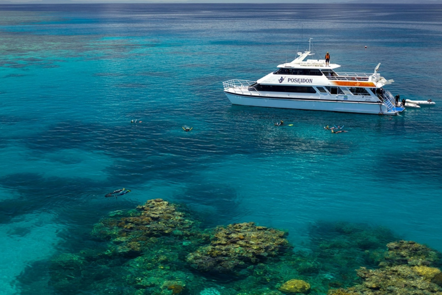 Poseidon Snorkel & Dive - Cairns-Tours