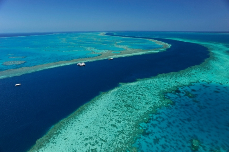 Great Barrier Reef Whitsundays