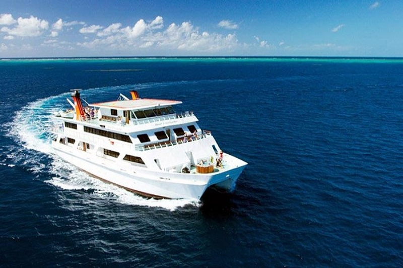 reef encounter cruise