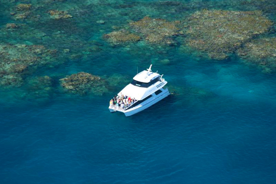 great barrier reef tours for elderly