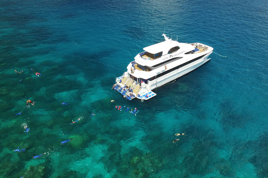 evolution reef cruise cairns