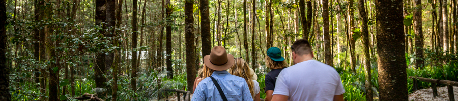 central station, fraser island, 