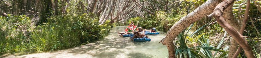 fraser island, eli creek