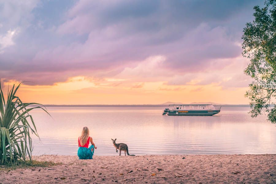 Noosa Everglades Eco Safari Main Image | East Coast Tours Australia