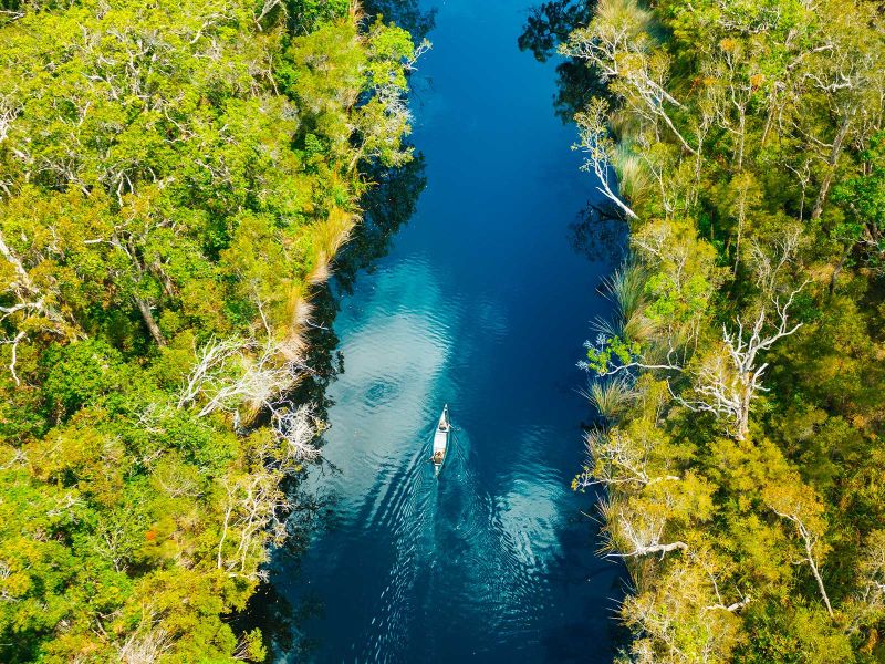 Noosa Everglades Canoe Explorer Hero Image | East Coast Tours Australia