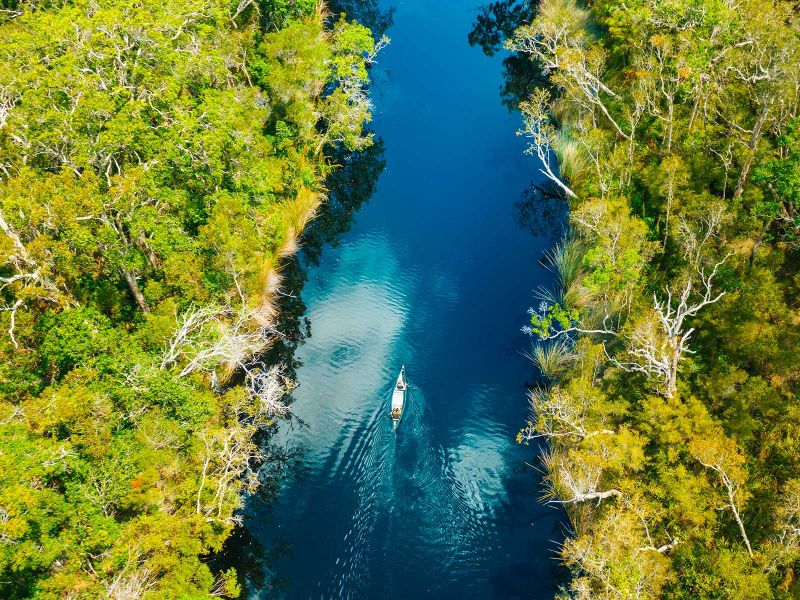 Noosa Everglades Canoe Explorer Main Image | East Coast Tours Australia