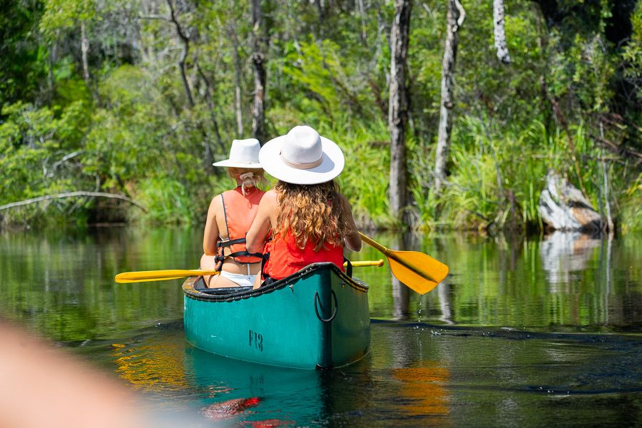 noosa everglades canoe tour