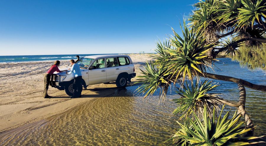 fraser experience day tour from hervey bay