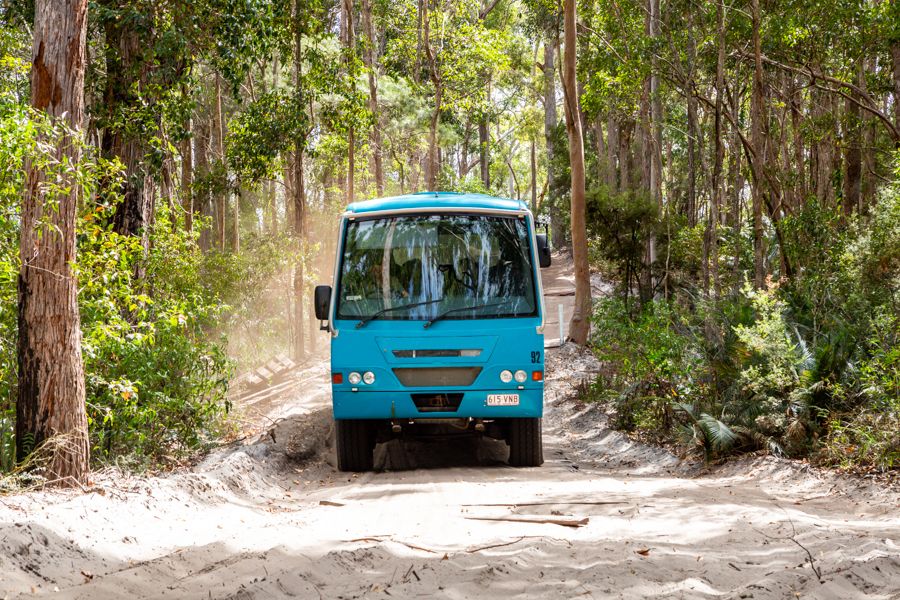 Day Tour to K'gari "Fraser Island" From Rainbow Beach Main Image | East Coast Tours Australia