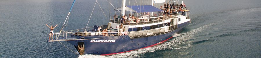 Atlantic Clipper Private Charter Day Tour