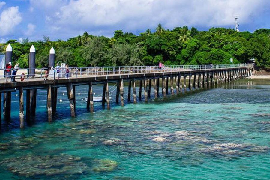 great barrier reef tours for elderly