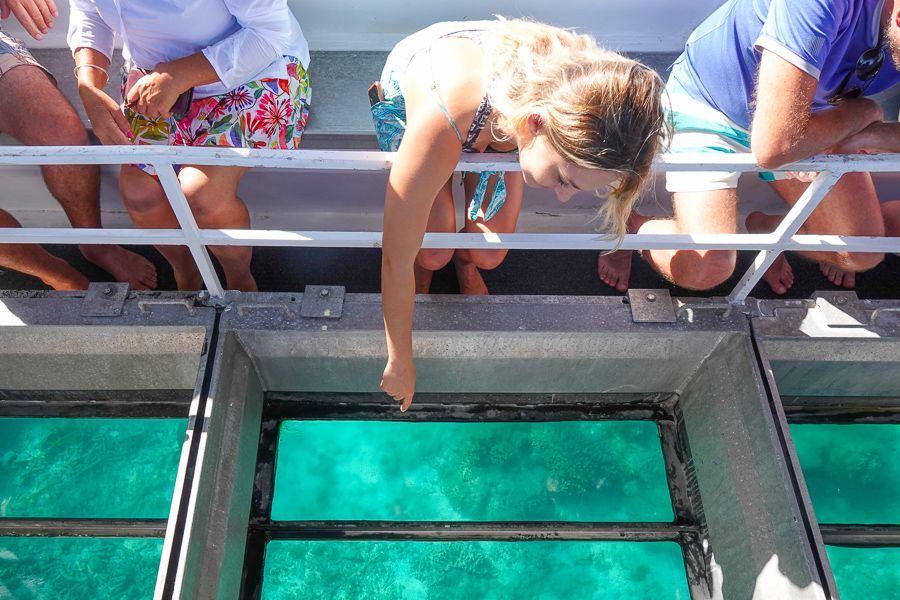 cairns reef tours fitzroy island