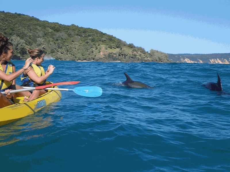 Dolphin View Sea Kayak & Beach 4WD Tour Hero Image | East Coast Tours Australia
