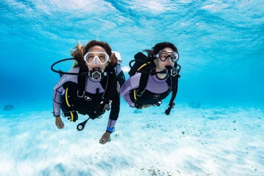 Pro Dive Sydney: Double Guided Shore Certified Dive Hero Image | East Coast Tours Australia