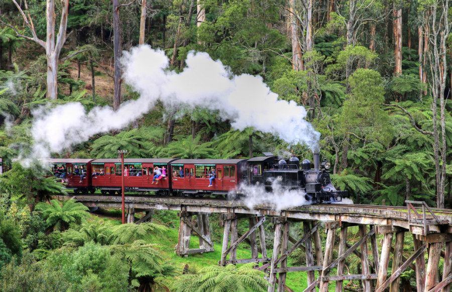 Healesville Sanctuary and Puffing Billy Scenic Bus Tour Hero Image | East Coast Tours Australia