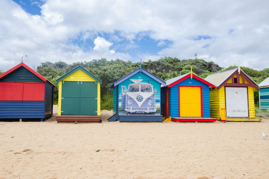 Phillip Island Wildlife & Brighton Beach Boxes Bus Tour Hero Image | East Coast Tours Australia