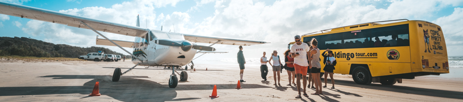 Planes on the beach Fraser, Cool Dingos