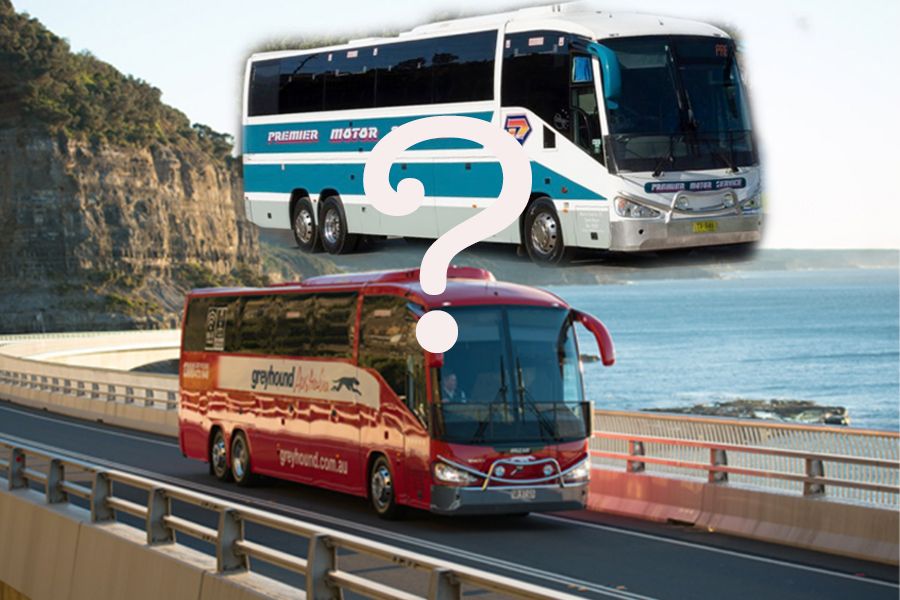 The difference between Greyhound and Premier Buses - Sailing Whitsundays