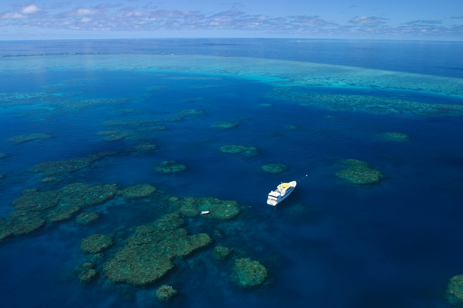 diving, cairns