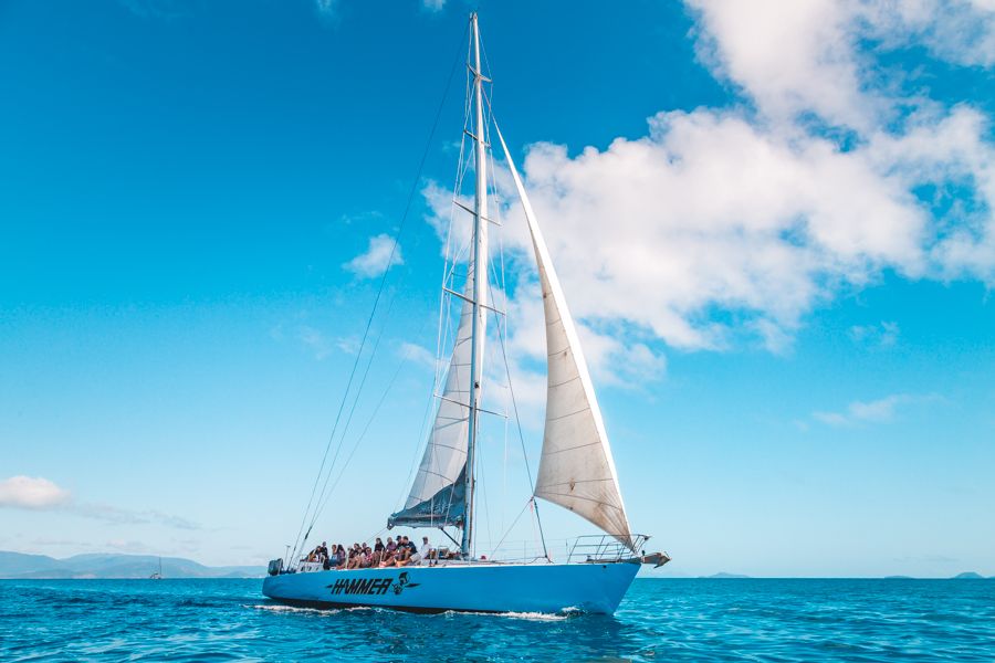 maxi yacht whitsunday