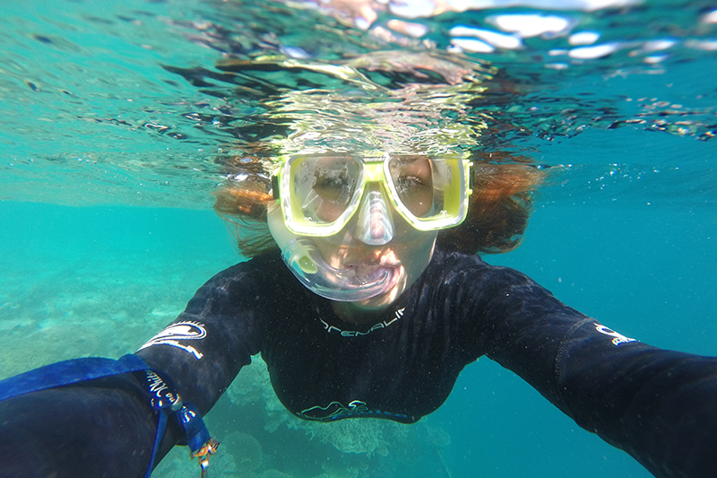 Stinger Season in Airlie Beach - Sailing Whitsundays