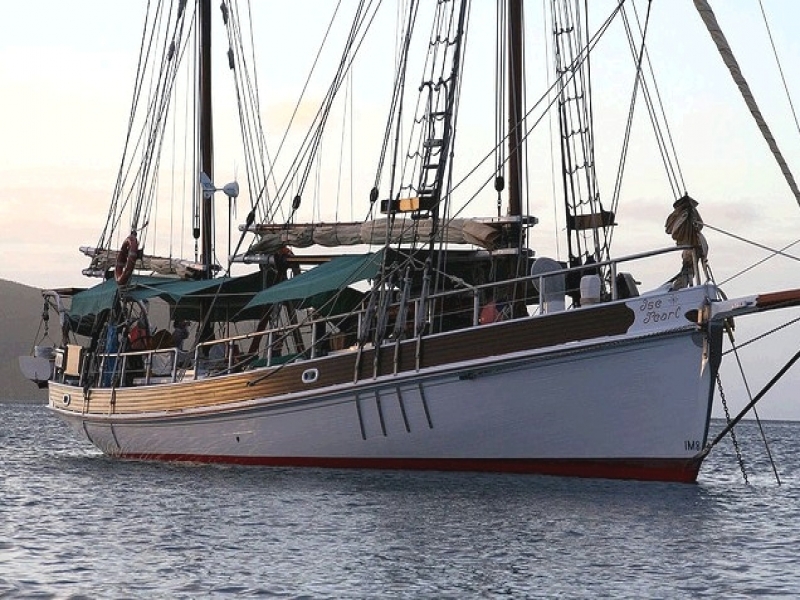 sail pearl white