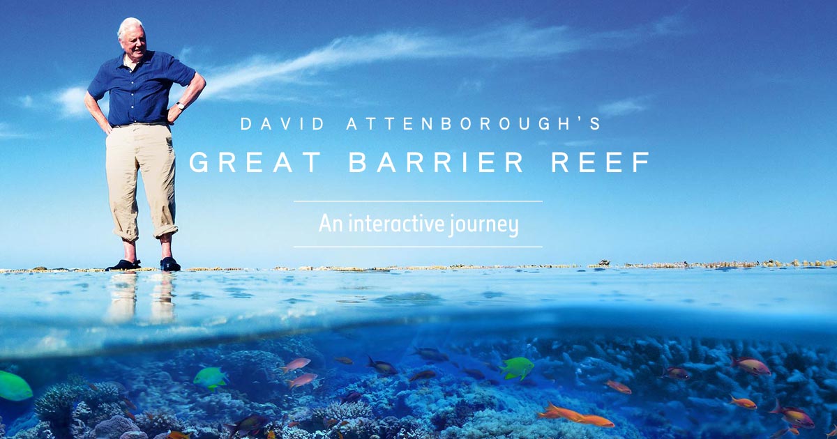 Sailing Whitsundays Hero Image For David Attenborough on the Great Barrier Reef