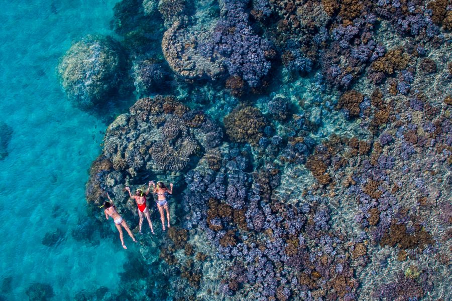 Snorkle Fringing Reef