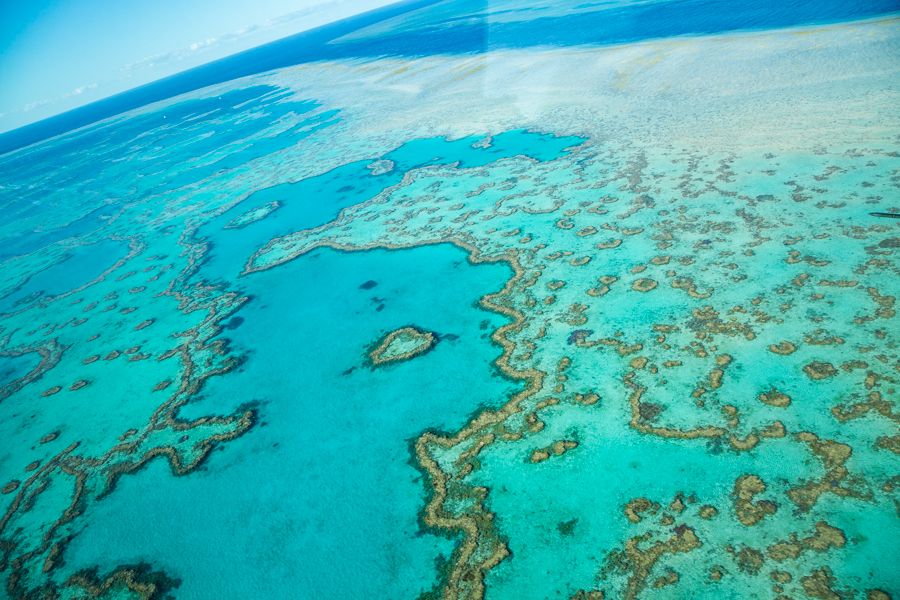 Heart Reef Outer Reef