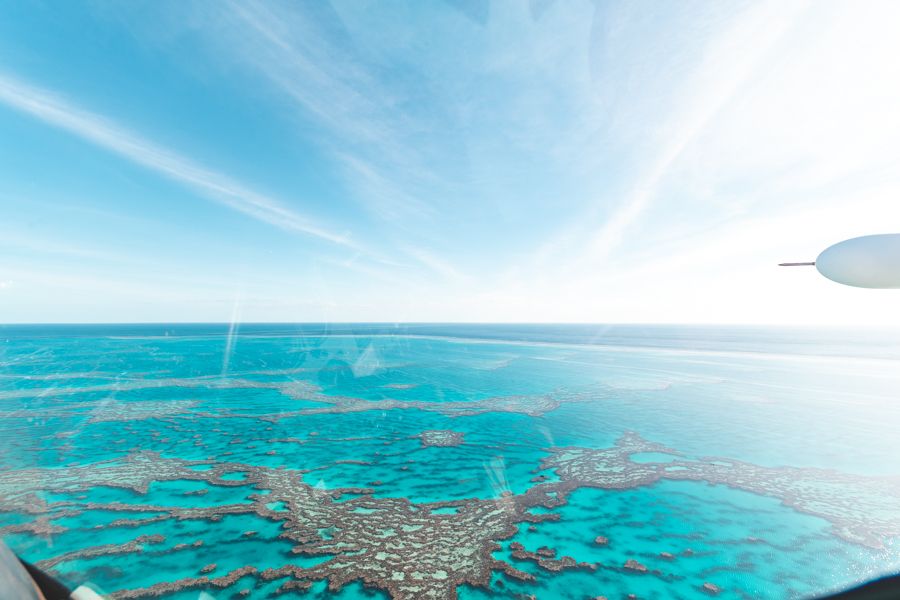 Sailing Whitsundays Hero Image For How The Great Barrier Reef was Formed