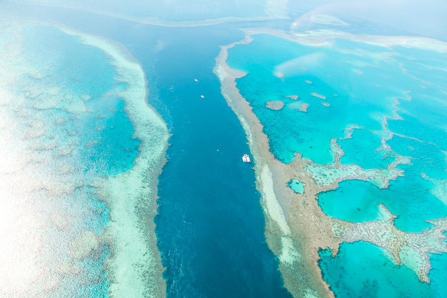 aerial view of the coral reefs of the Great Barrier Reef