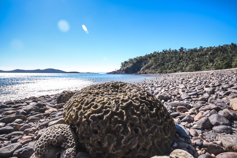 Coral Beach, Whitsundays