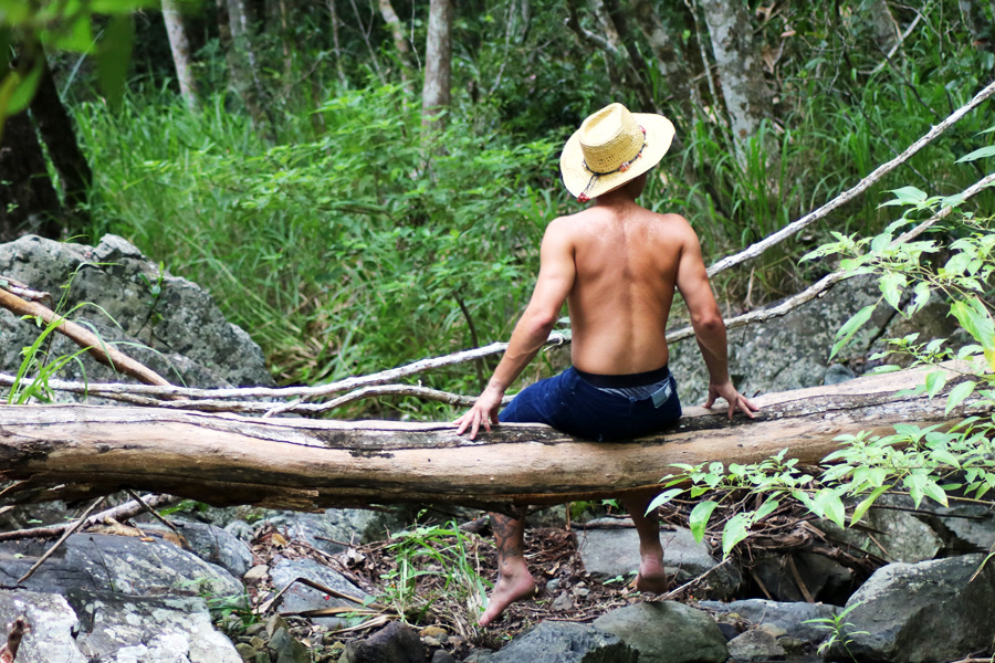 traveller in a hat on a branch on the Wompoo Walk Whitsundays