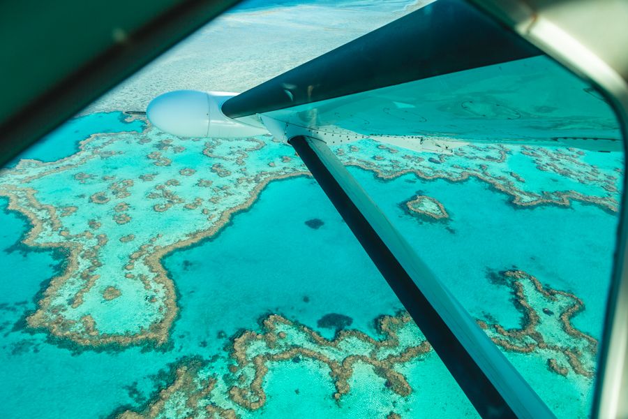 seaplane flying over the heart reef in the whitsundays