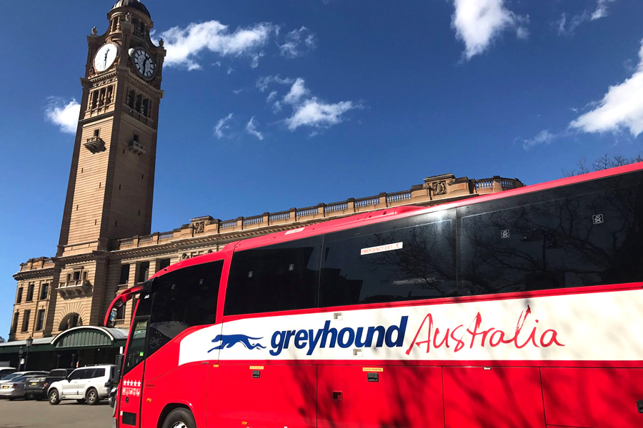 Greyhound Bus